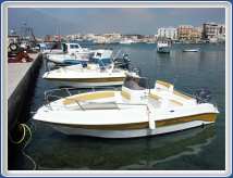 PICT0010-01
