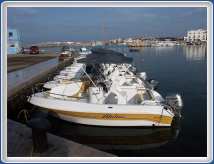 PICT00045-01